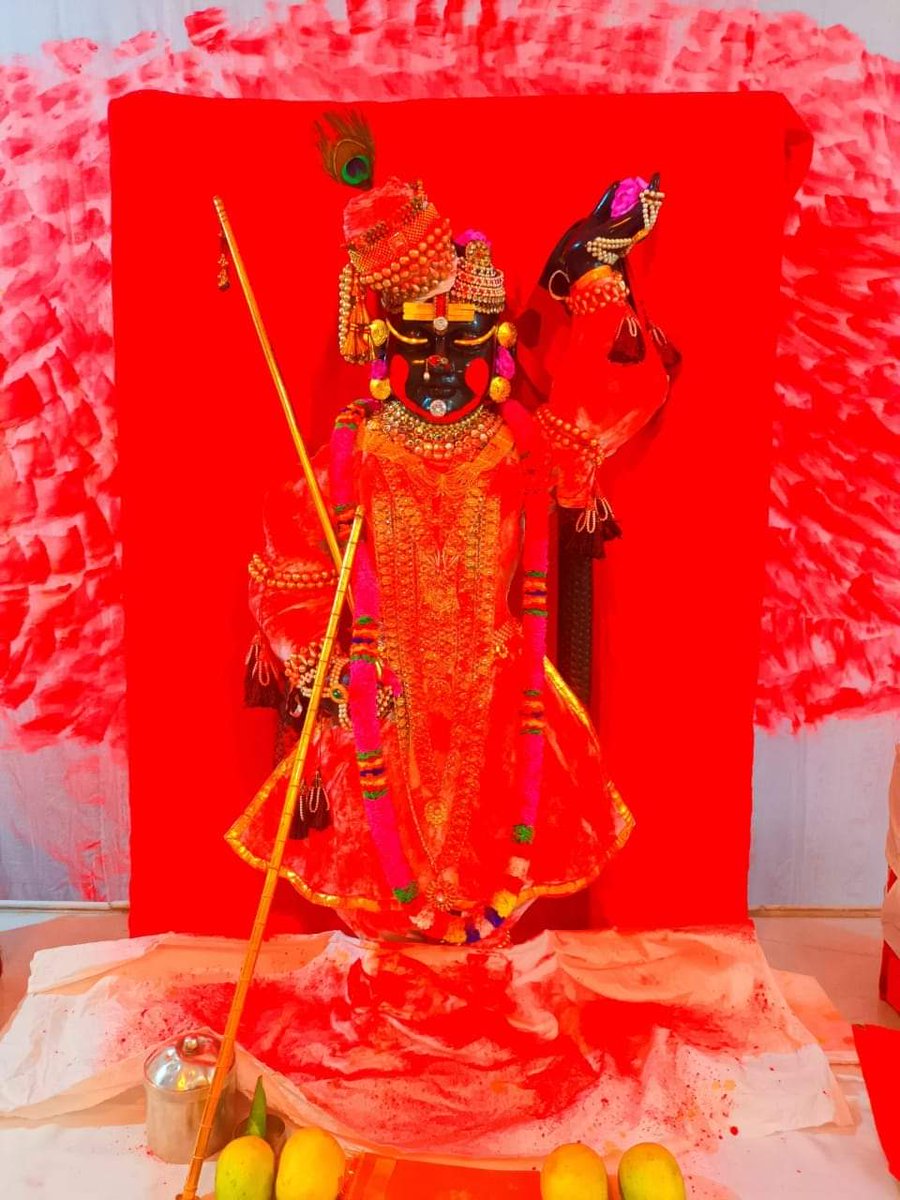 नाथद्वारा प्यारे श्रीनाथ जी दर्शन