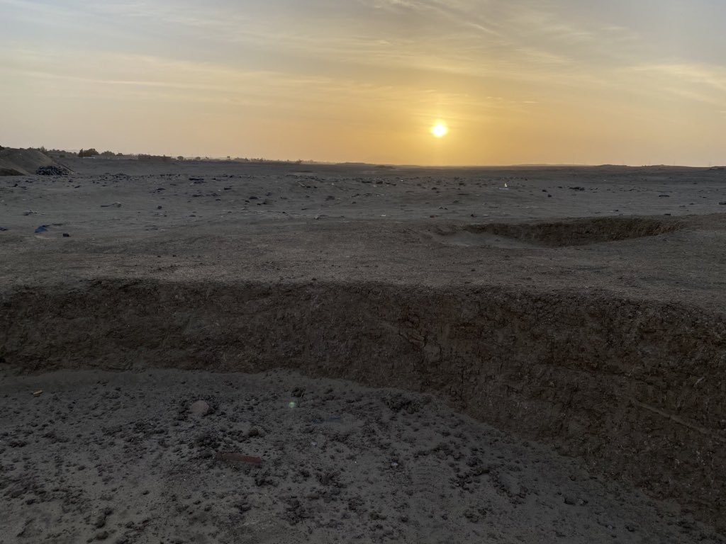 jubudka's tweet photo. We have a very exciting tomb currently under excavation at cemetery GiE 003 - more soon #Ginis #Sudan #Kerma https://t.co/ACcVDpFz45