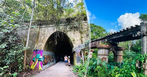 Glow worms, micro bats, historical train bridges and iconic landscapes: The long awaited Tweed section of the Northern Rivers Rail Trail has opened and we can confirm that is is worth the hype! bit.ly/3ZPftW9