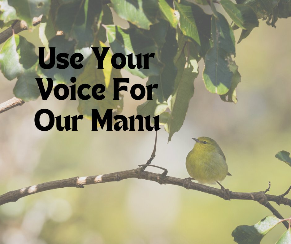 There will be a Board of Land and Natural Resources briefing on 3/10 discussing the proposed actions to save our native birds. Submit testimony by 3/9. The agenda (item C-2) and information on the proposed conservation actions are posted at dlnr.hawaii.gov/meetings/blnr-…