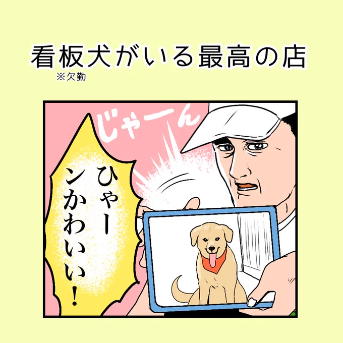 看板犬(欠勤)がいる最高のお店🐕
https://t.co/H2J9z6rL2v 