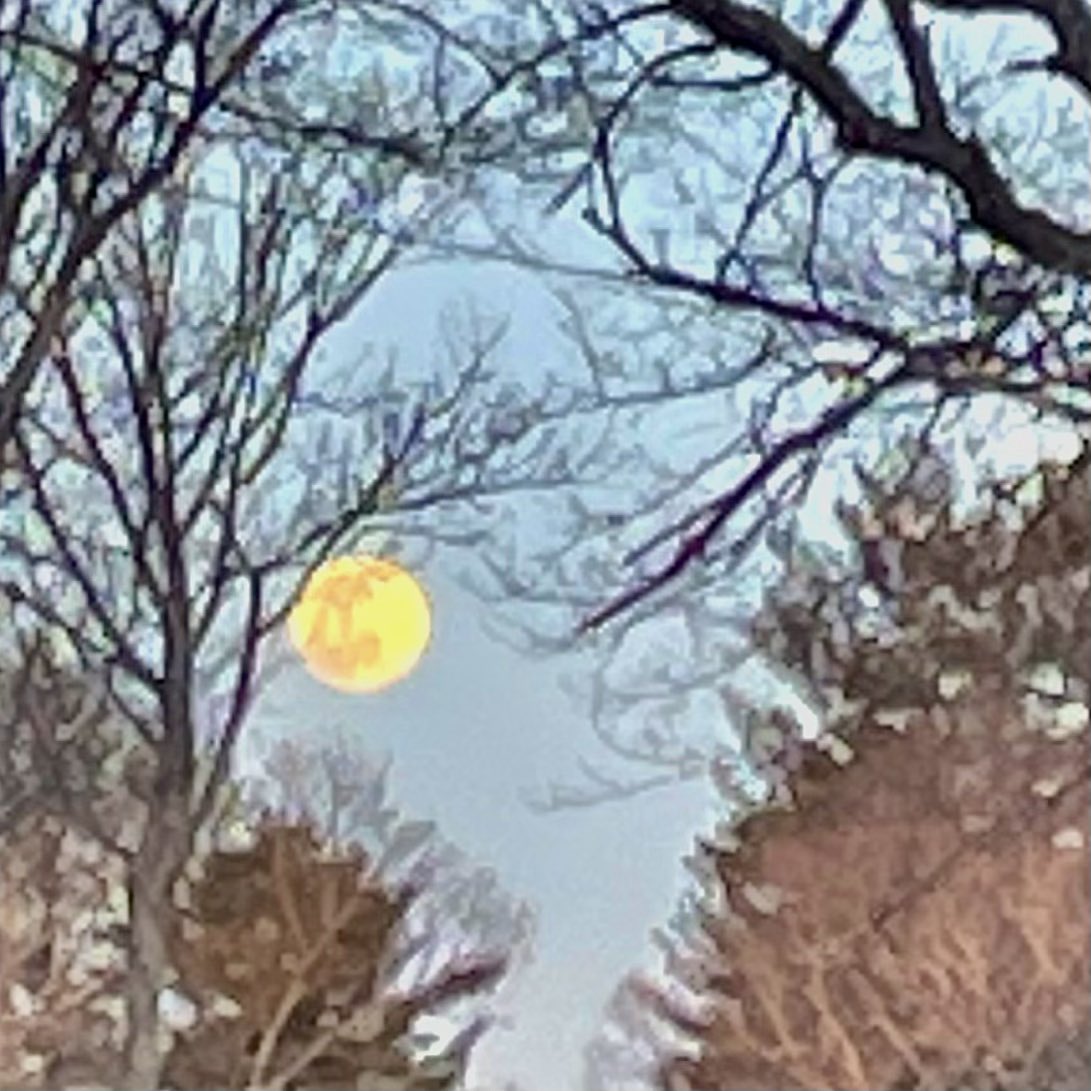 #WormMoon #sky#spring#moon