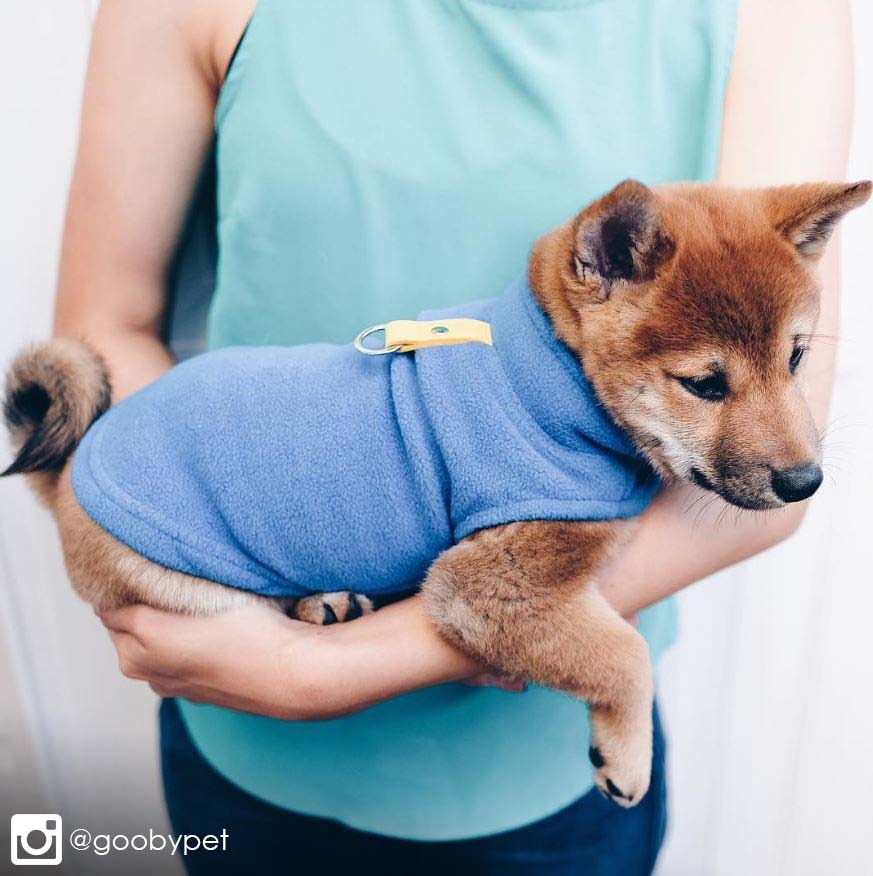 Entirely Pets tweet media