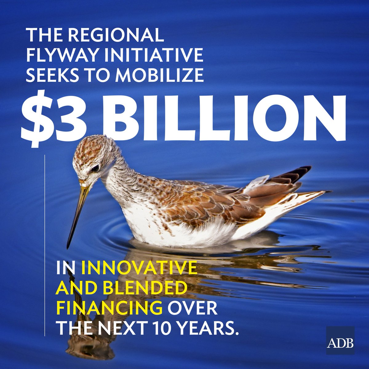 ADB_HQ's tweet photo. Wetlands along the East Asian-Australasian flyway provide habitats to various species of birds and are essential to climate resilience and human health.  

ADB’s new initiative builds a case for their protection through nature-based solutions: https://t.co/4TwyjWF1a5 https://t.co/B88omDhYvJ