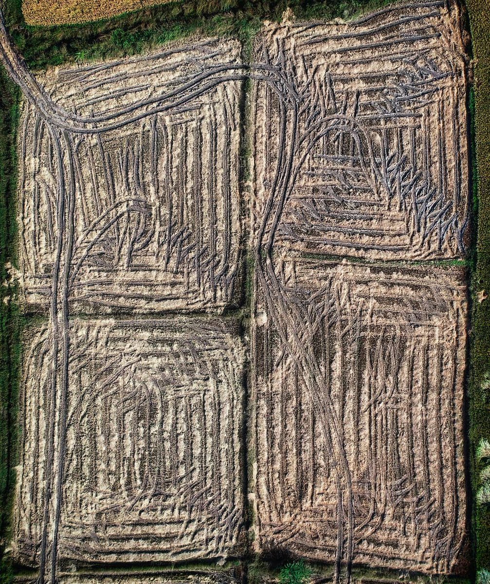 Praveen_nature's tweet photo. #Nature #Naturelover #NatureBeauty #NaturePhotography #Farming #Ploughing #Agriculture #Padddy #Paddyfeilds #Beautiful #Tamilnadu #Tamilnadutourism https://t.co/hgwxLMaDiw