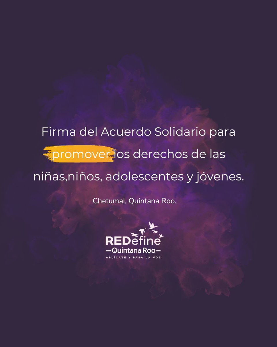 REDefine Quintana Roo tweet media