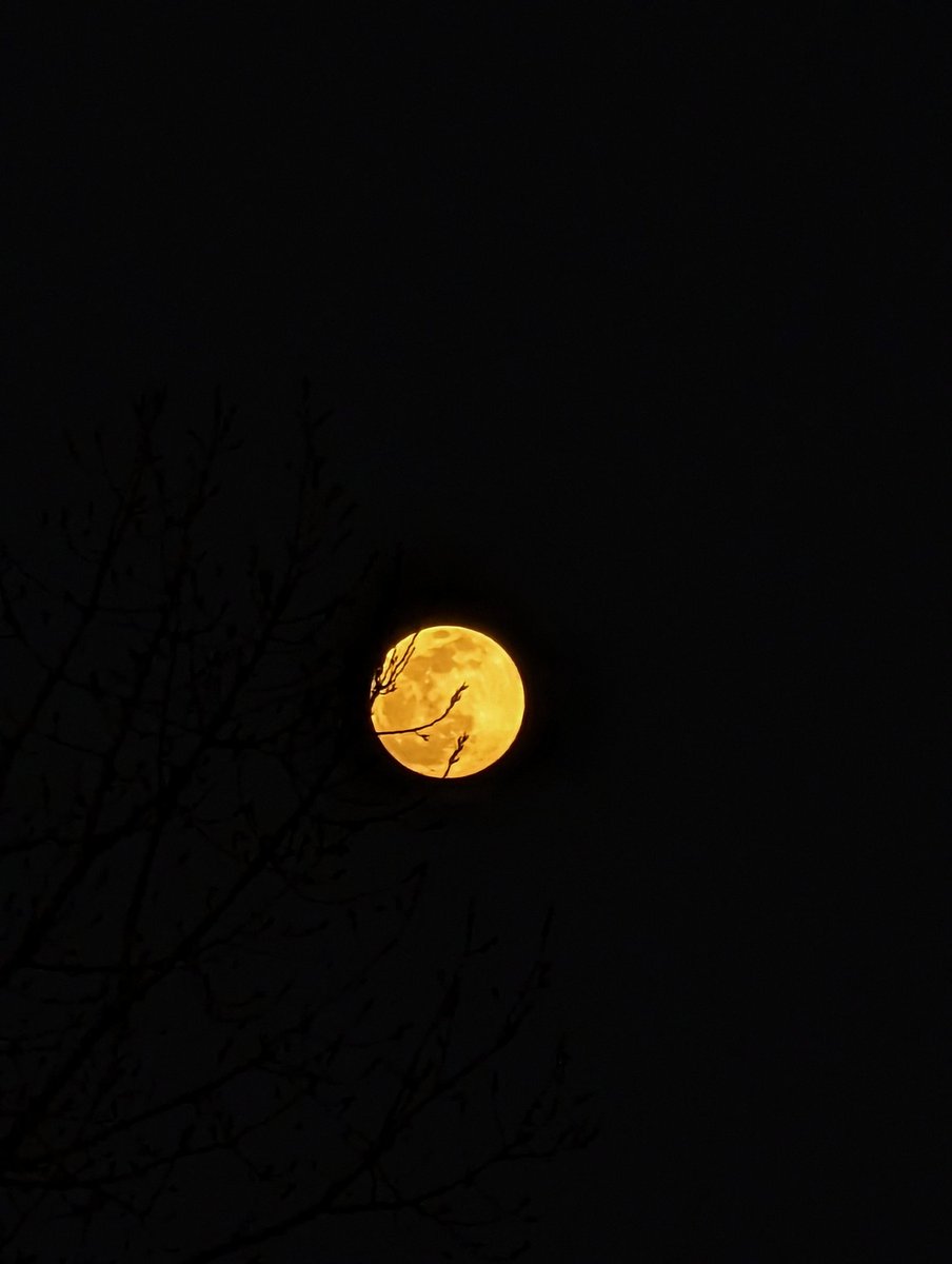 sm_raiyyan's tweet photo. Pixel 6 Pro 20x
#teampixel #pixel6pro #p6p
#fullmoon @madebygoogle @GooglePixel_US https://t.co/PUeR30gXKl