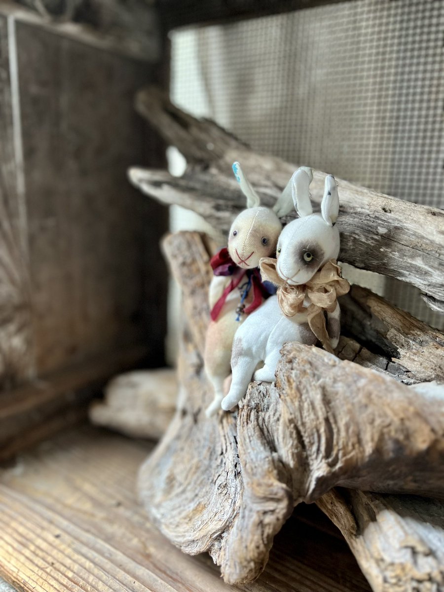 okotas64's tweet photo. クラフトアート創作人形展、
本日搬入日です。

いよいよ明日から
ホヤホヤの「脱力ピョン」も
連れて行きますね！

#クラフトアート創作人形展
－10th anniversary－
3/8-13
阪急梅田本店アートステージ
@craft_art_doll 
https://t.co/aXzQuihH6f
＠craft_art_DOLL

3/8.11.12.13在廊予定 https://t.co/PFSDNhiC5K
