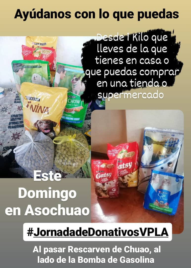 asoc_vpla's tweet photo. 1 Día al mes donde puedes colaborar con 1 Bolsita de Perrarina o Gatarina para animalitos rescatados! ¿Cuándo? DOMINGO 27/08 #JornadadeDonativosVPLA 🥰 De 10:30am a 2:00pm. en Asochuao diagonal al #HotelEurobuilding, al lado de la Bomba/Gasolina de #Chuao https://t.co/1QXcXHUbFM