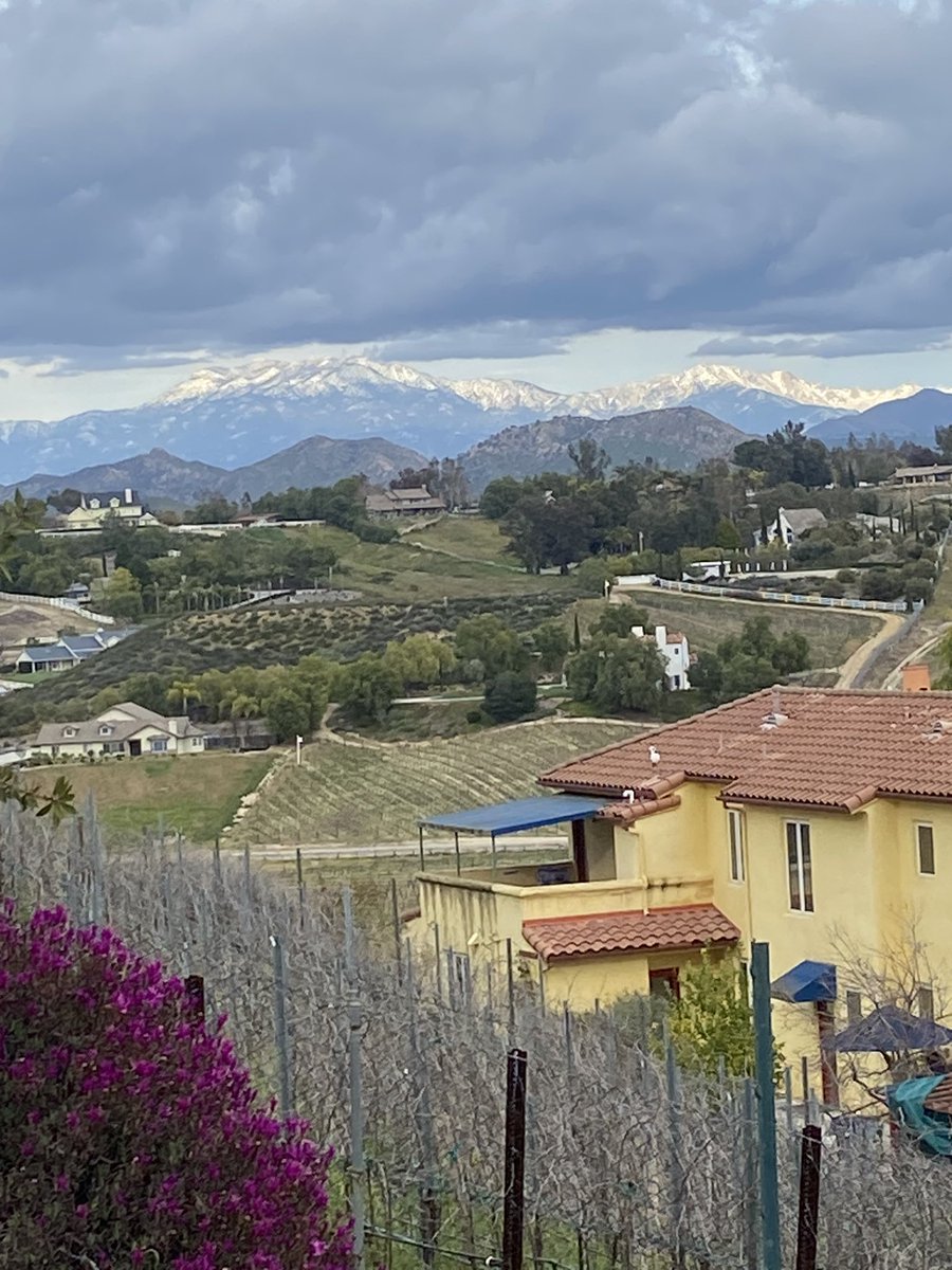 drew__zun's tweet photo. @KTLA @veraktla  view of sno topped san jacinto mountains from our yard in temecula wine country, from andrew zun loyal watcher &amp; vera fan! https://t.co/PvzngAMLtO
