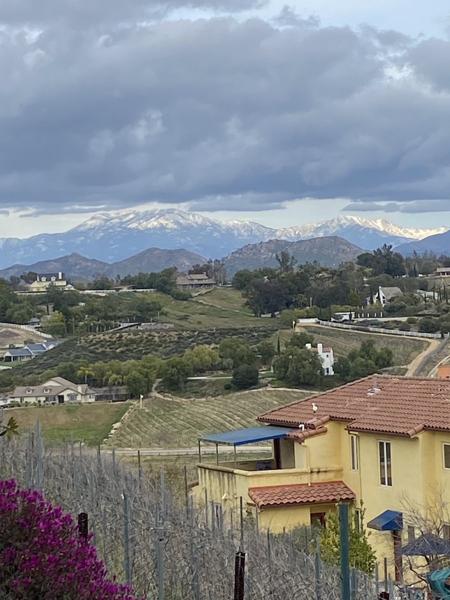 drew__zun's tweet photo. @KTLA @veraktla  view of sno topped san jacinto mountains from our yard in temecula wine country, from andrew zun loyal watcher &amp; vera fan! https://t.co/PvzngAMLtO