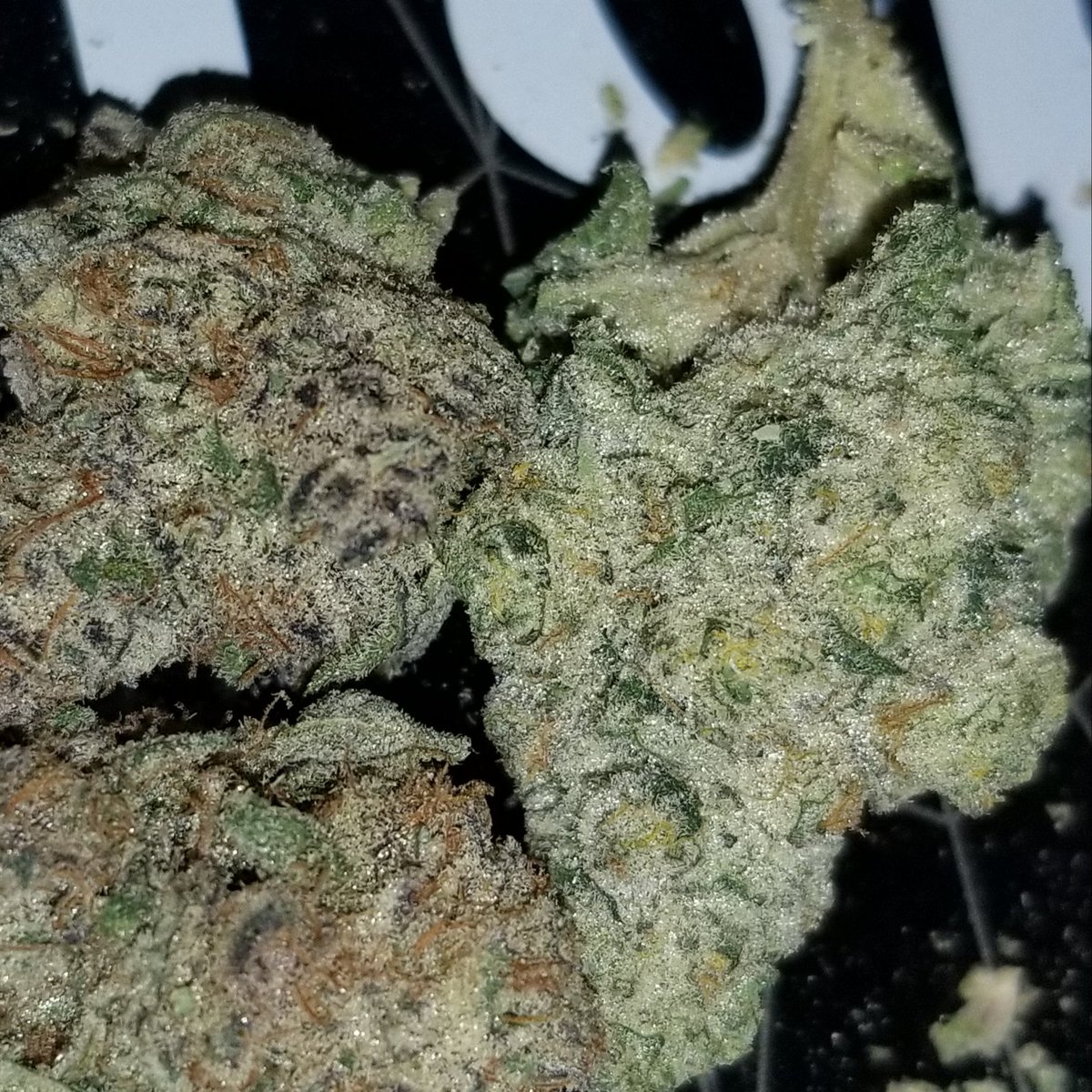 MidwestGrow's tweet photo. Yea https://t.co/zzn8HqoaR9