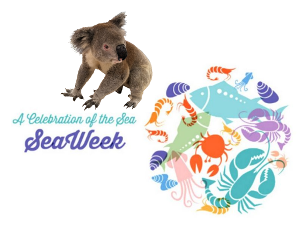 KoalaConservAus's tweet photo. This is SEA WEEK. Oceans and seas facilitate all life, both aquatic and terrestrial, the world over. Without clean, functioning oceans, life would not persist on Earth. If we take care of our oceans, they will continue to take care of us.
#SeaWeek #Oceans https://t.co/3aeHKsLoB6