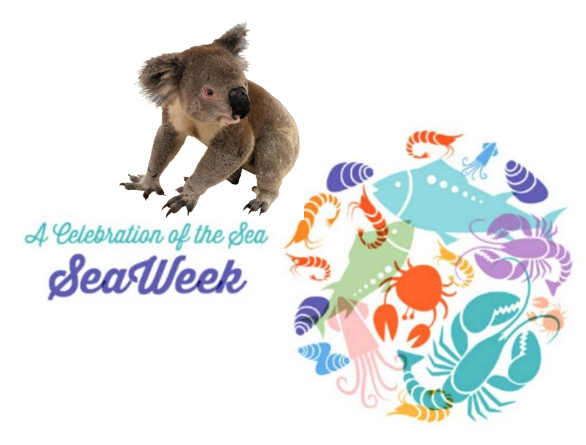 This is SEA WEEK. Oceans and seas facilitate all life, both aquatic and terrestrial, the world over. Without clean, functioning oceans, life would not persist on Earth. If we take care of our oceans, they will continue to take care of us. #SeaWeek #Oceans