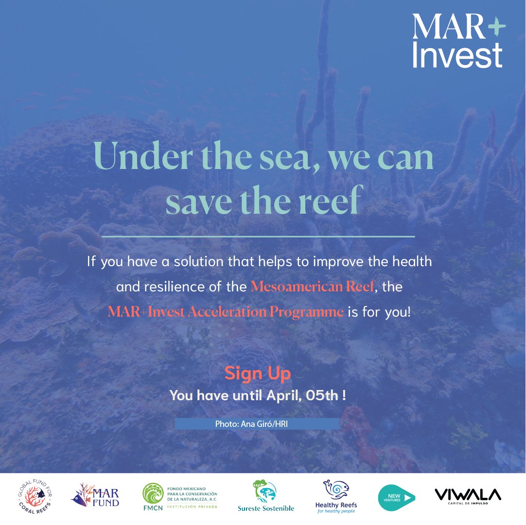 ¿Tienes un proyecto enfocado en la conservación de los arrecifes?🐟 Únete a la iniciativa que  impulsa negocios que contribuyan a proteger, conservar y restaurar el Sistema Arrecifal Mesoamericano🤝 Regístrate!! mar-invest.org 
#mar+invest #arrecifes  @newventuresmx