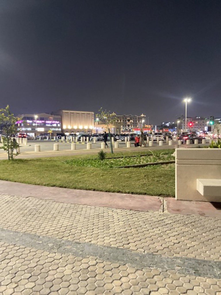 Cat people 🐈 tweet media