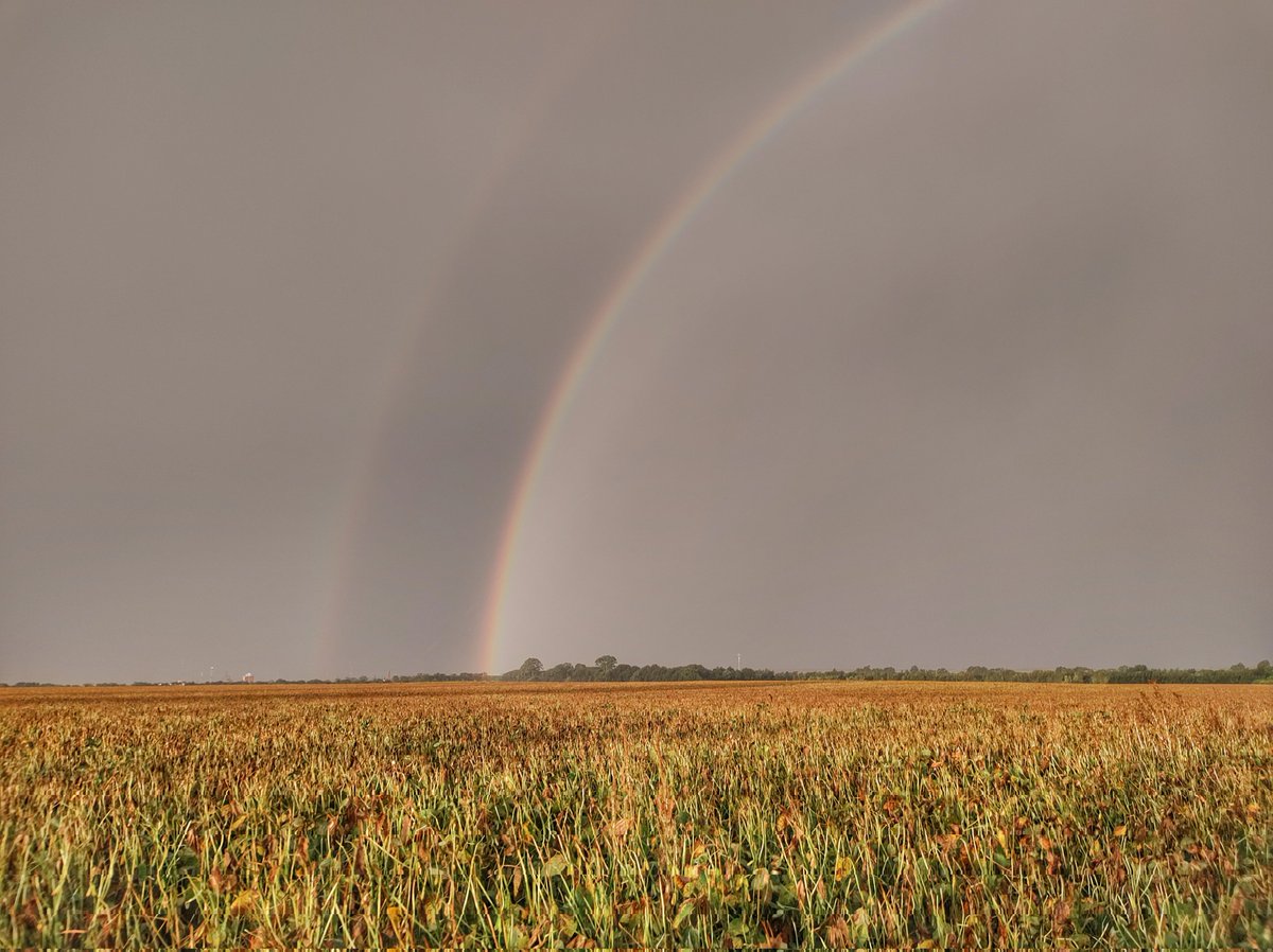 MeteoMat's tweet image. ☔06/03/23
🌧️Berrotaran 21mm
🌧️Elena 21mm
🌧️Río de los Sauces 49mm
🌧️Huerta Vieja 64mm
🌧️Lutti 36mm
🌧️Paso Cabral 42mm
🌧️La Cruz 40mm
🌧️V. del Dique 45mm
🌧️Los Condores 52mm
🌧️Almafuerte 37mm
🌧️Río 3° 25mm
🌧️Tancacha 25mm
🌧️Las Gamas 37mm
🌧️Deheza 27mm
🌧️Gigena 23mm
🌧️Río 4° 26mm