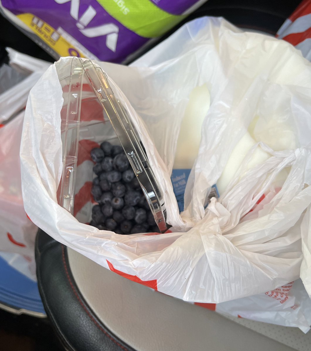 sdlc526's tweet photo. @Target Blueberries and milk don’t go in the same bag. https://t.co/kQqmXCxhEv