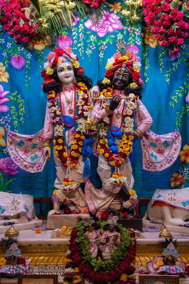 🌻🌿🌷Krishna Balaram 🌷🌿🌻