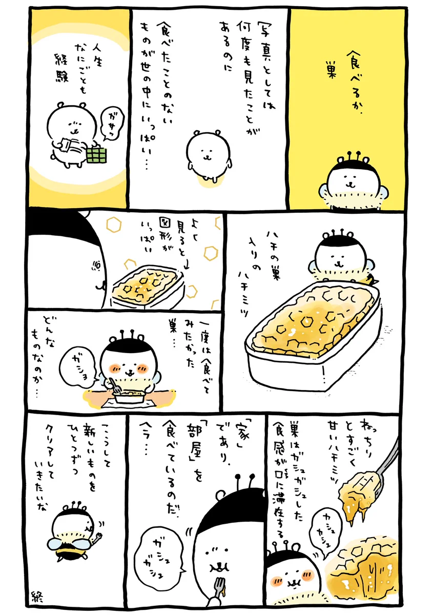 人生何事も経験。ハチの巣入りのはちみつを食べた。