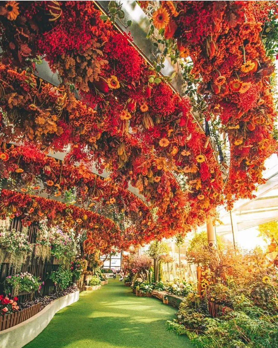 Gardens By the Bay, Singapore🏵️ 🇸🇬 
#gardensbythebay #singapore #marinabaysands #travel #visitsingapore #travelphotography #garden #exploresingapore #asia #gardensbythebaysingapore #gardens #sg #singaporeinsiders #gardensofinstagram #singaporetravel #singaporeflyer