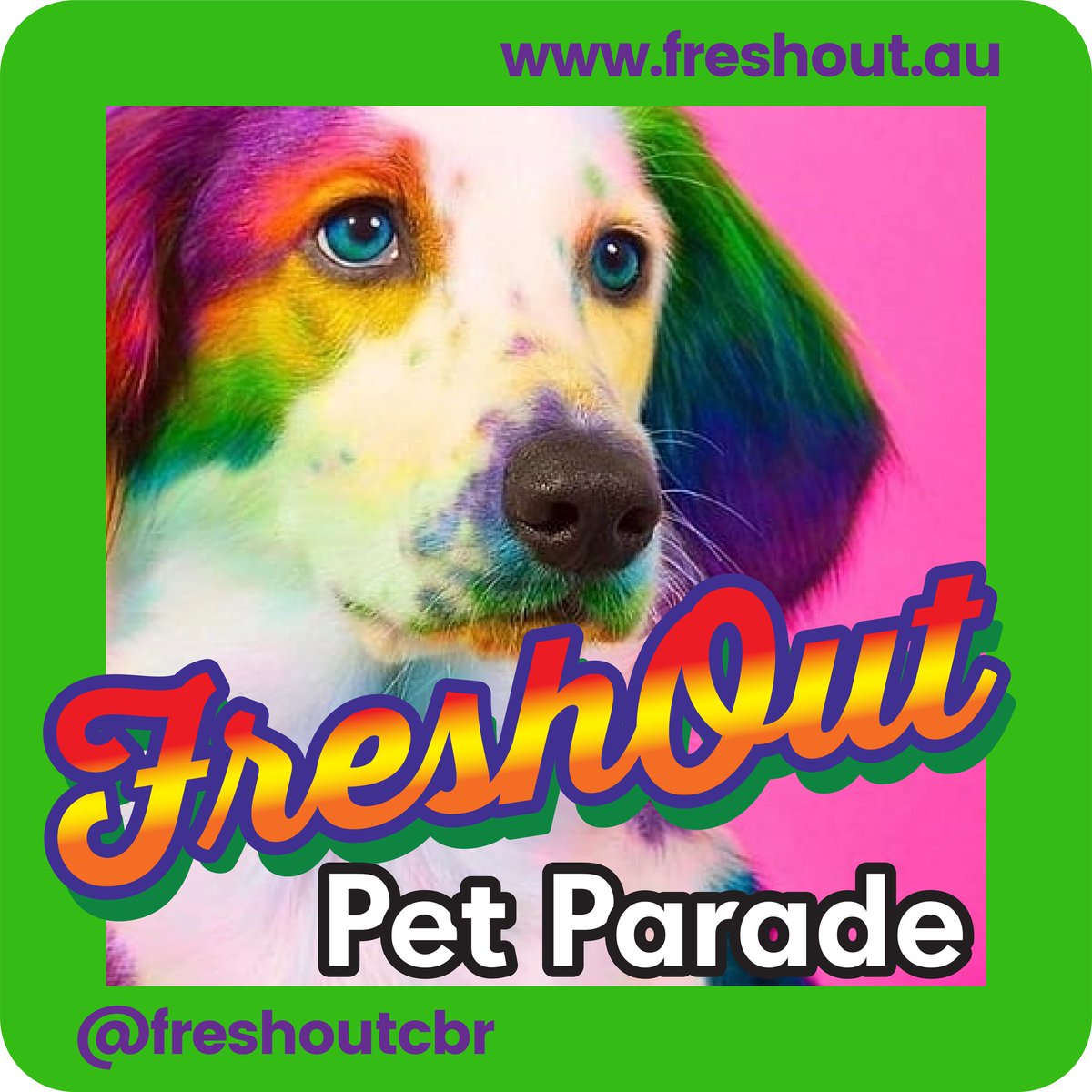 Canberra SpringOUT Pride Festival tweet media