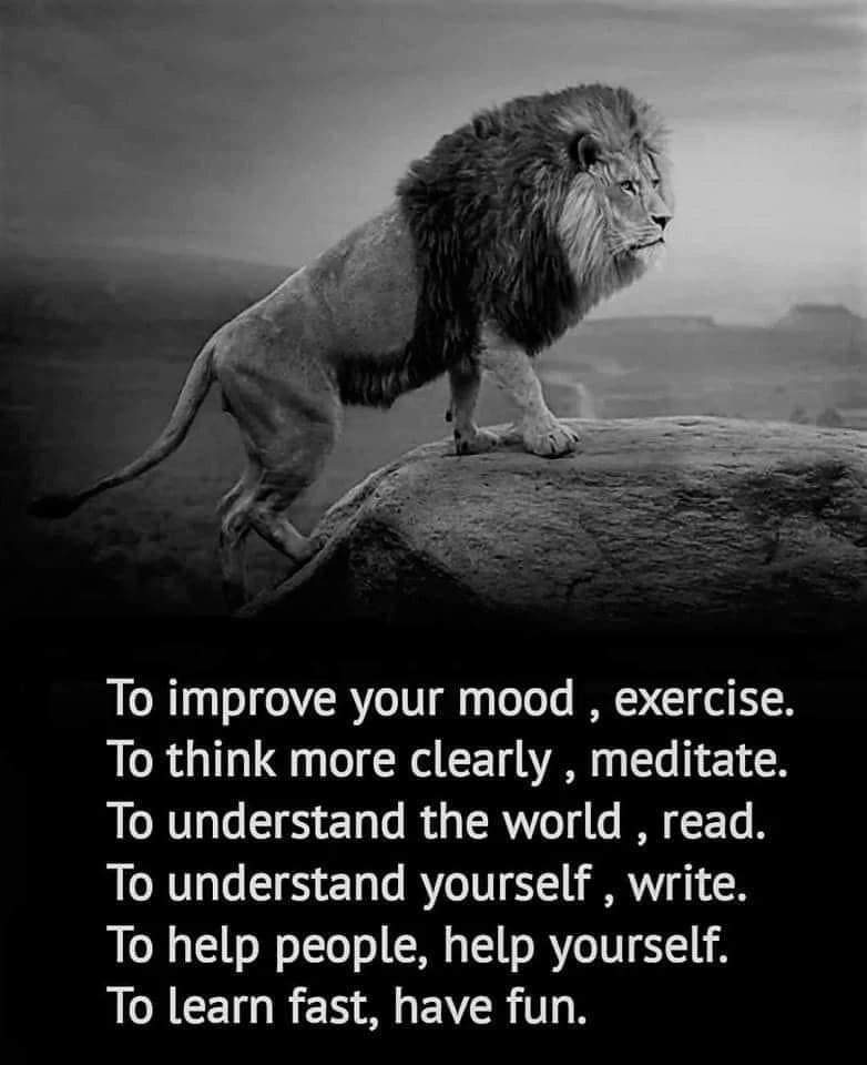 gbass514's tweet photo. Life has a way of changing things & sometimes we must learn, grow & continue forward even when we are tired & worn down. Lean on faith, put your trust in God to provide strength. #lionchaser #faith #trusttheprocess #thesaltnet #marketingstrategist #entrepreneur https://t.co/s59XnoVus7