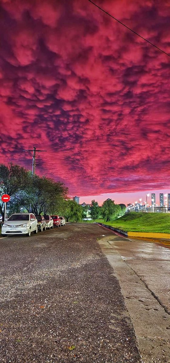 No me digan que no es hermoso 😍
