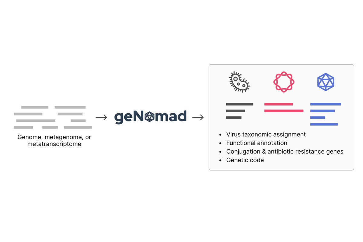 Do you need to identify viruses or plasmids in sequencing data? geNomad can help you with that 😃 🚨 Preprint alert!