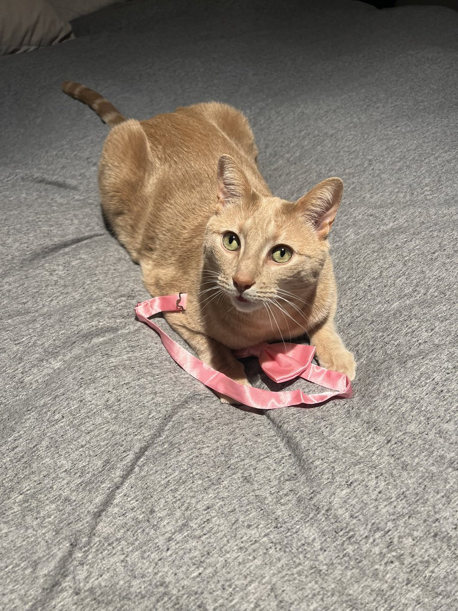 emelette's tweet photo. When it’s only Monday and you’re already planning your outfit for Friday. #PartyDown https://t.co/3j7jWTjmFf
