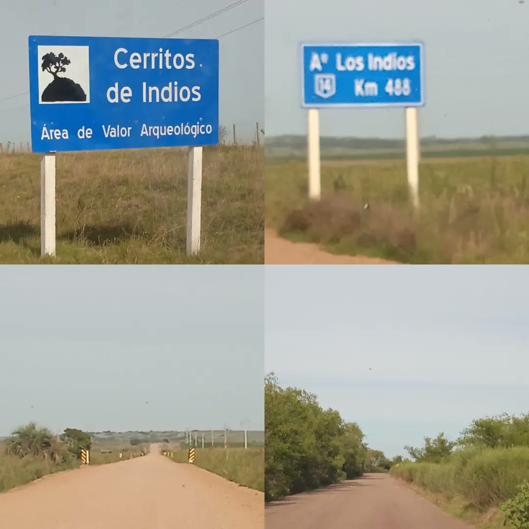 RosanaParedes2's tweet photo. Ruta 19,Rocha,a 6 km Chuy. Vestigios arqueológicos asentamiento indígenas.Desde el Cerro Picudo hasta los Cerritos de los Indios, de no + 3 mts.
Y saliendo del Fuerte San Miguel, se encuentra el Museo Criollo e Indígena de San Miguel.Depende del MDN.
#febrero2023
#por🇺🇾 https://t.co/NqbXvyFiPA