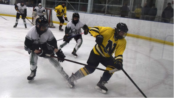 NapaneeBeaver's tweet photo. Pringle’s overtime winner clinches EOSSAA gold for NDSS girls’ hockey team - https://t.co/LC4W3WWS6N https://t.co/ATOUUBopto