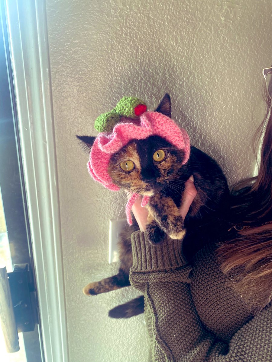 ellieeesmiless_'s tweet photo. Thank you @CathCrochets for making my little Olive look so cute in her hat! 🥹🫶🏻 https://t.co/rz4GL1fDhd
