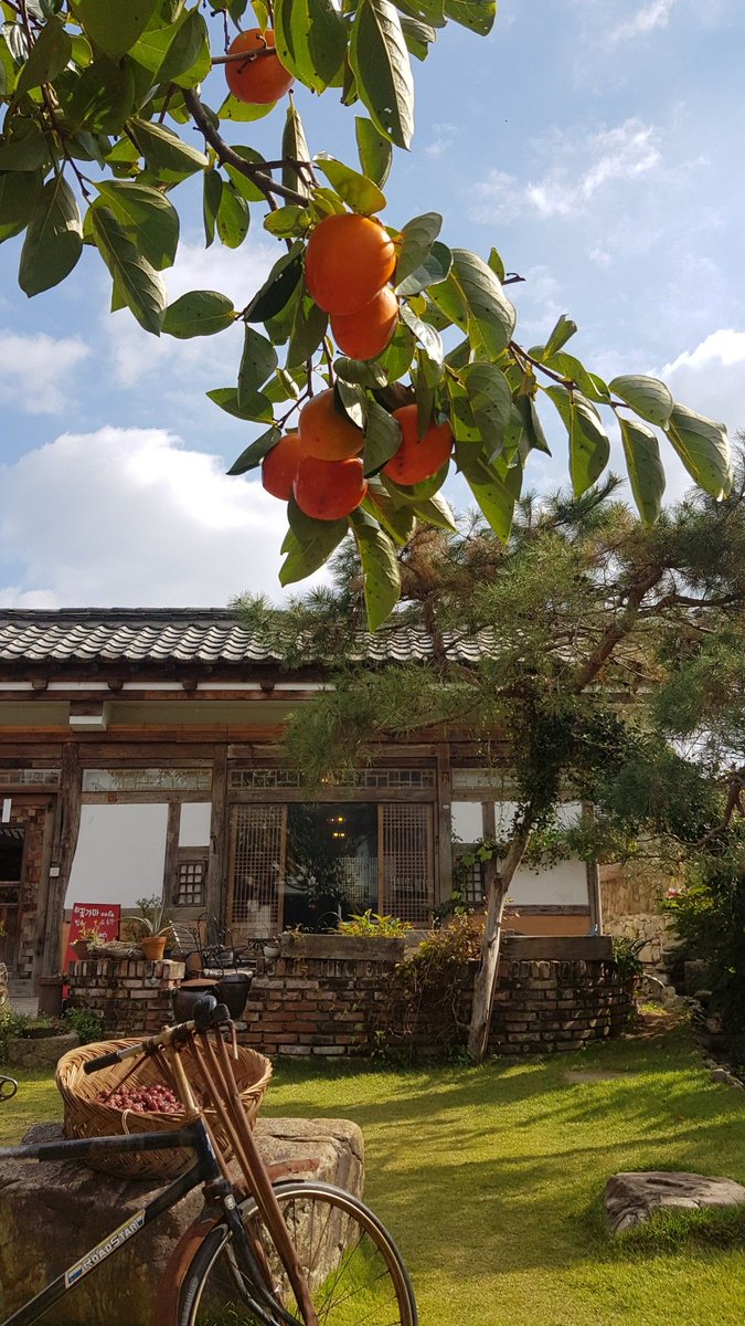 KOREA_ETA's tweet photo. Кореялық ETA құжаттарын шығарды
K-ETA виза емес болғандықтан, бірнеше құжат қажет.
Саяхатшыларға жарамды төлқұжат және визадан бас тартқан елдің соңғы жеке фотосуреті қажет.
#паспортжасауүшін
https://t.co/sbfYmar5Sp https://t.co/r7FYX10jQQ