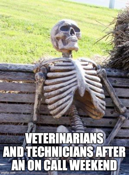 alpine_animal's tweet photo. We love our staff…😂 #emclife #vetsoftwitter https://t.co/eyUFo9SzgX