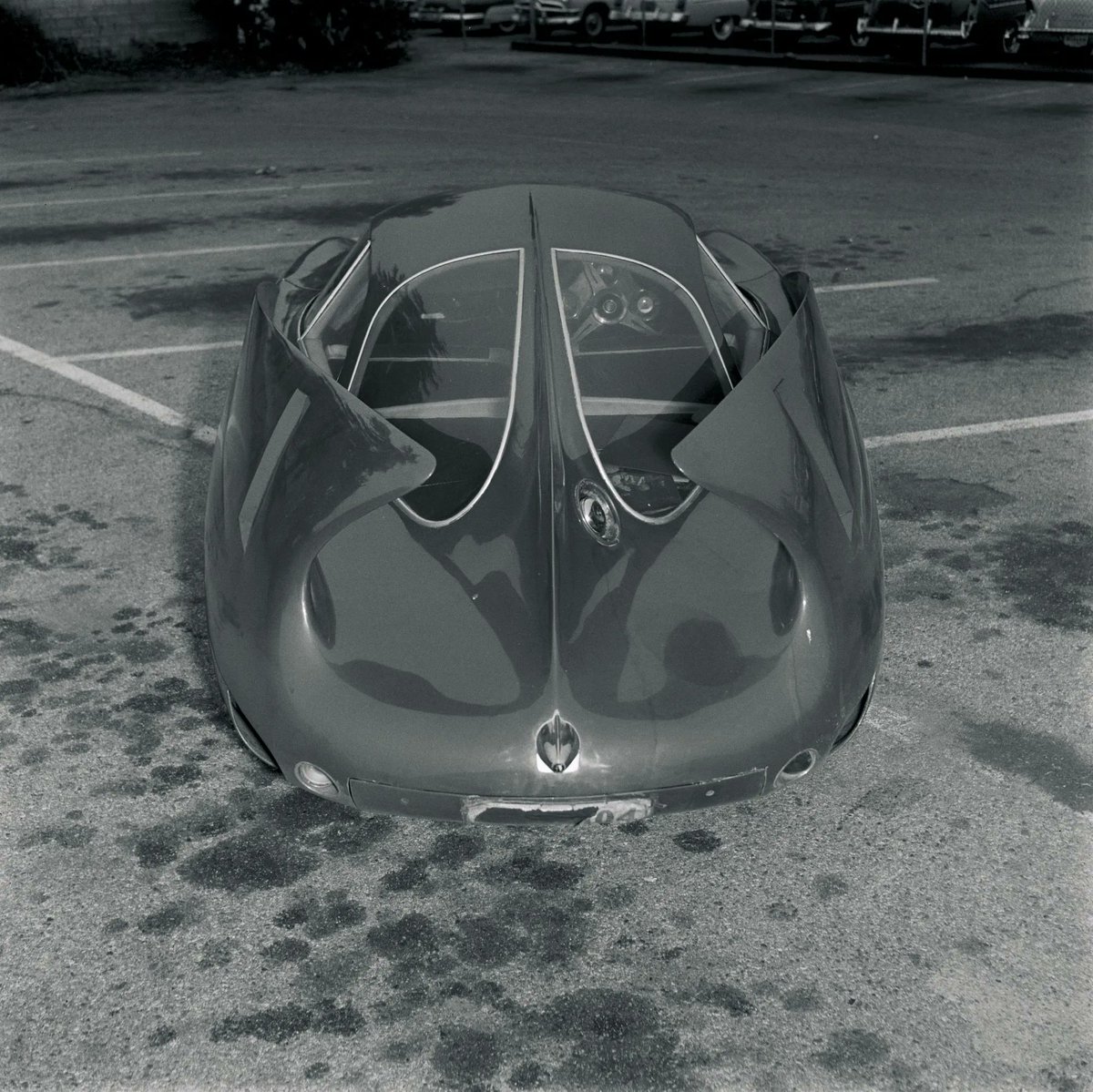 1954 Alfa Romeo BAT 7 rear