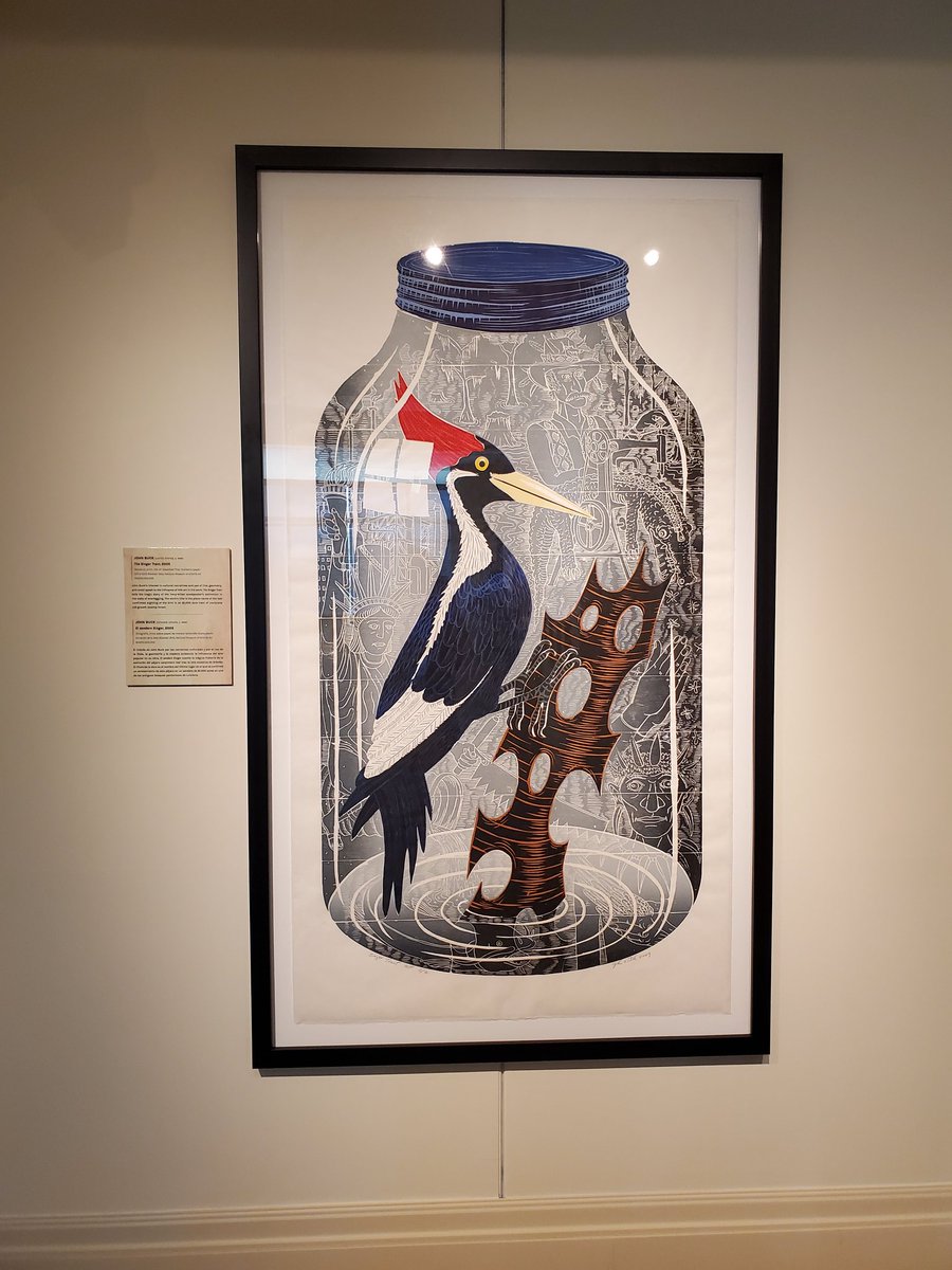 The (UN)natural exhibit was incredible. No shock that I loved everything bird related 