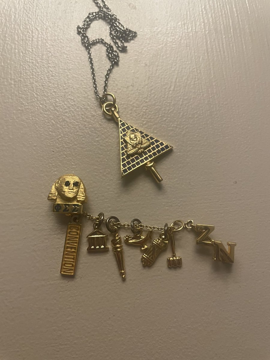 Happy International Badge Day! So proud to be apart of Phi Sigma Sigma today and everyday! #BadgeDay23