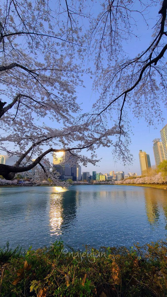 KOREA_ETA's tweet photo. Dokumenti koje je izdala korejska ETA
Budući da K-ETA nije viza, potrebno je nekoliko dokumenata.
Putnici trebaju važeću putovnicu i noviju osobnu fotografiju iz zemlje u kojoj je ukinuta viza.
#napravitiputovnicu
https://t.co/sbfYmar5Sp https://t.co/9yeXuiamg9