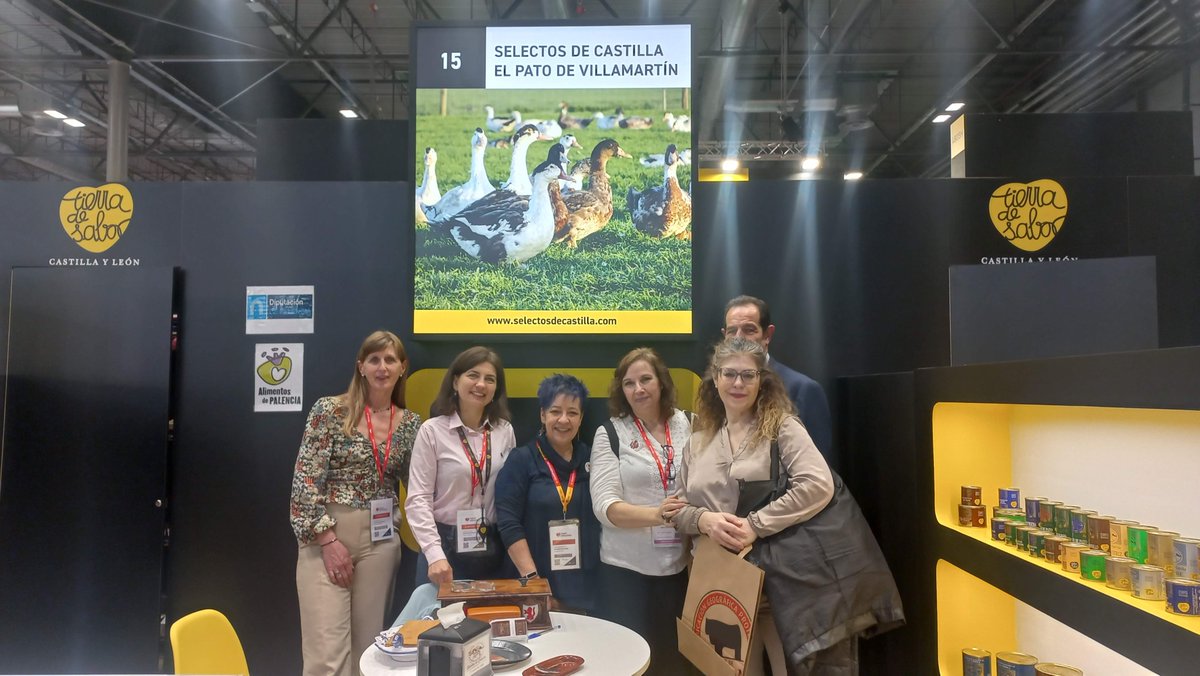 Las Recetas de Carol tweet media