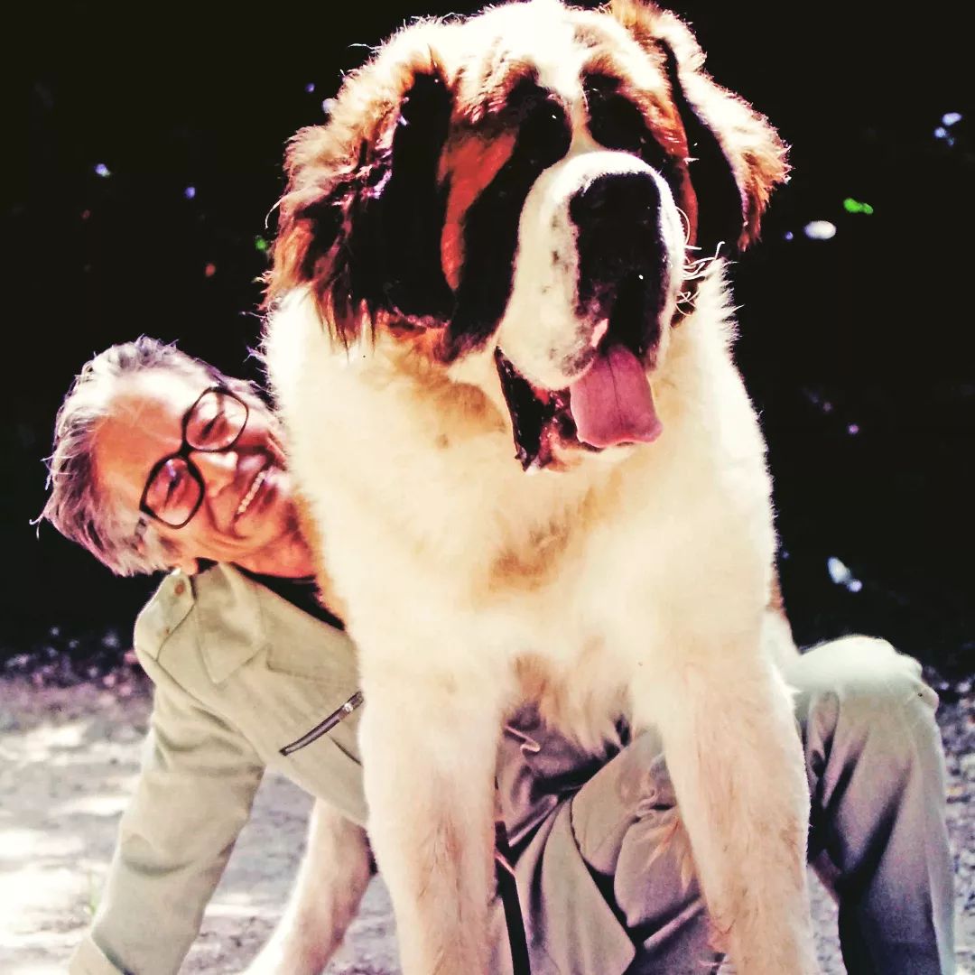 onriedo16's tweet photo. #Repost @mutsugoro656 
——
イタリアで出会った大きな友だち🐾ムツさんと顔の大きさを比べてみてください😆 2人はすぐに仲良しに😄🍀#ムツゴロウの656 #はたまさのり #むつごろうさん #zoologist  #writer #friendofanimals #doglover https://t.co/9zV3bKT7Dd