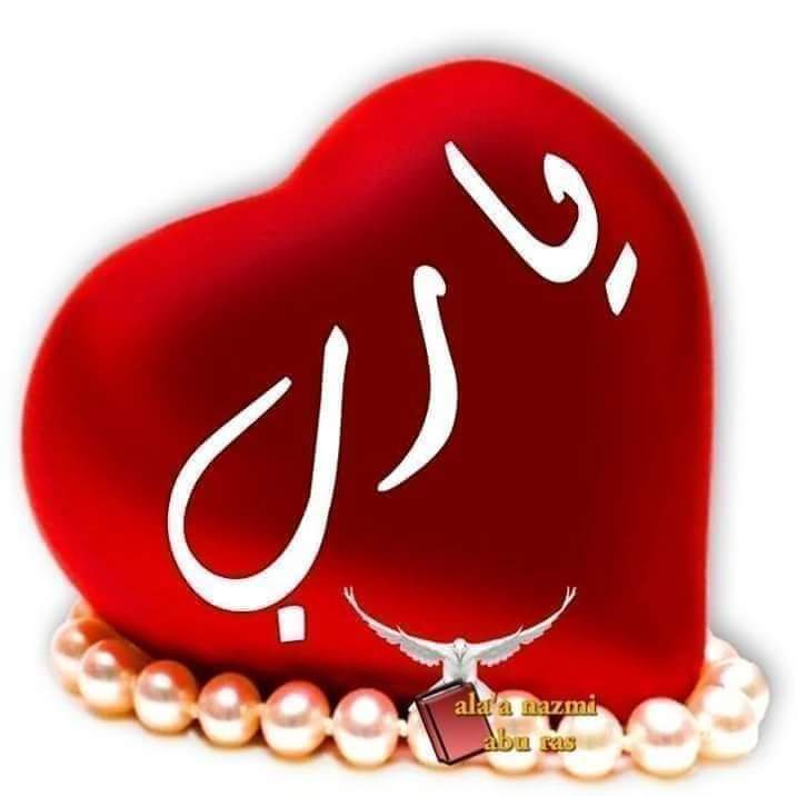 نور صبري tweet media