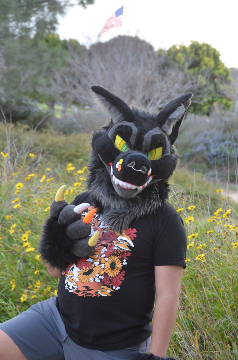 So uuh I got a fursuit this weekend... it was super awesome hanging out at the SDF meet on Saturday, and then getting to do pictures at Liberty Station on Sunday! The suit is a <a href="/mostlybaddog/">Mostly Bad</a> pre-made from a while ago and the pics were taken by <a href="/A_Fucking_Camel/">A_Fucking_Camel comms closed</a>