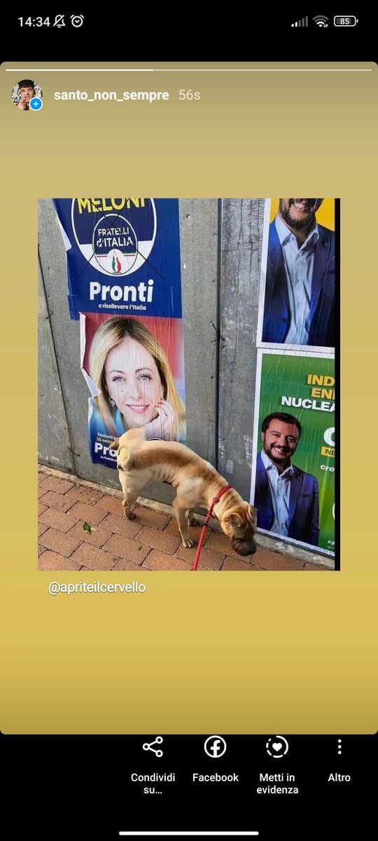 AntoTavolieri's tweet image. #sigarette
Questi pagliacci sono gli stessi che si lamentavano del GREEN PASS!
Anche il popolo dei fumatori preso per il cu** dal #GovernoDegliOrrori