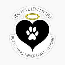 Becool088's tweet photo. @rottenroxygirl #BabySharkBoss🐋💚 Awe thanks for sharing😘
R.I.P. #SweetRoxy #NeverForgotten💜✝️💜 https://t.co/y9V0XH4PQr