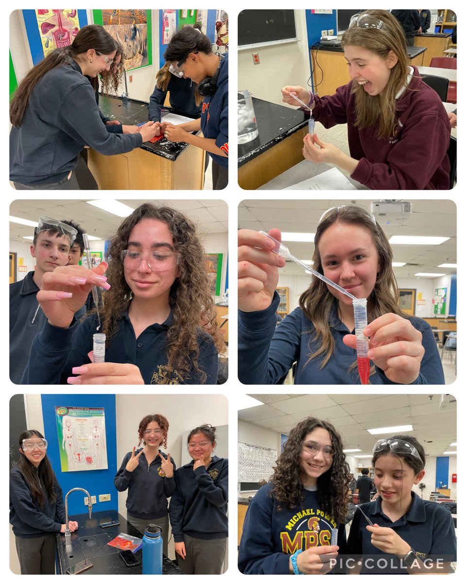Our MPSJ HOSA chapter participated in a DNA extraction today- separating strawberry DNA from cells. Thanks to our exec team who lead the activity. 🍓🧬 #mpsjscience #mpsjHOSA <a href="/MPSJ_TCDSB/">Michael Power/St. Joseph High School</a>