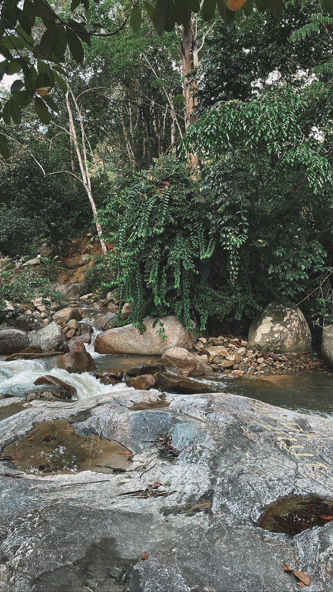 Asmakmrzmn's tweet photo. 📍 Lata Bubu, Padang Rengas Perak 

Kome nak camping boleh roger saya https://t.co/vHZwBqeBmV

@TravelJimat @JJCMPERAK @jomtravel_ @cutibajetco https://t.co/imGkzzayew