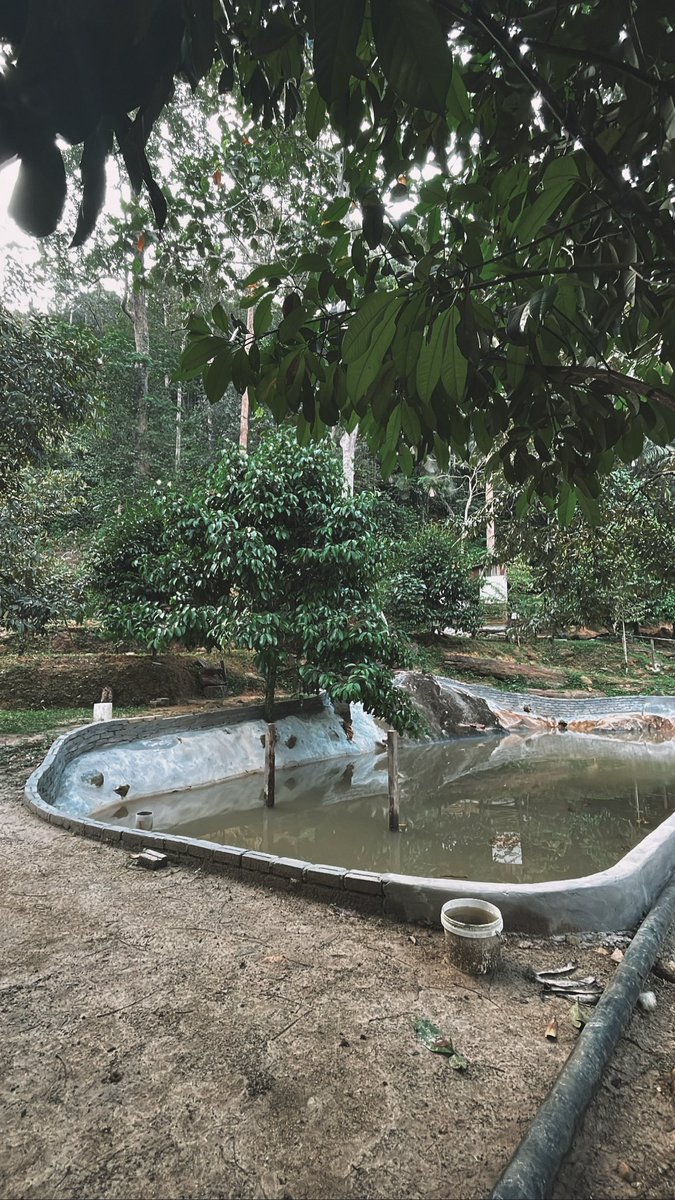 Asmakmrzmn's tweet photo. 📍 Lata Bubu, Padang Rengas Perak 

Kome nak camping boleh roger saya https://t.co/vHZwBqeBmV

@TravelJimat @JJCMPERAK @jomtravel_ @cutibajetco https://t.co/imGkzzayew