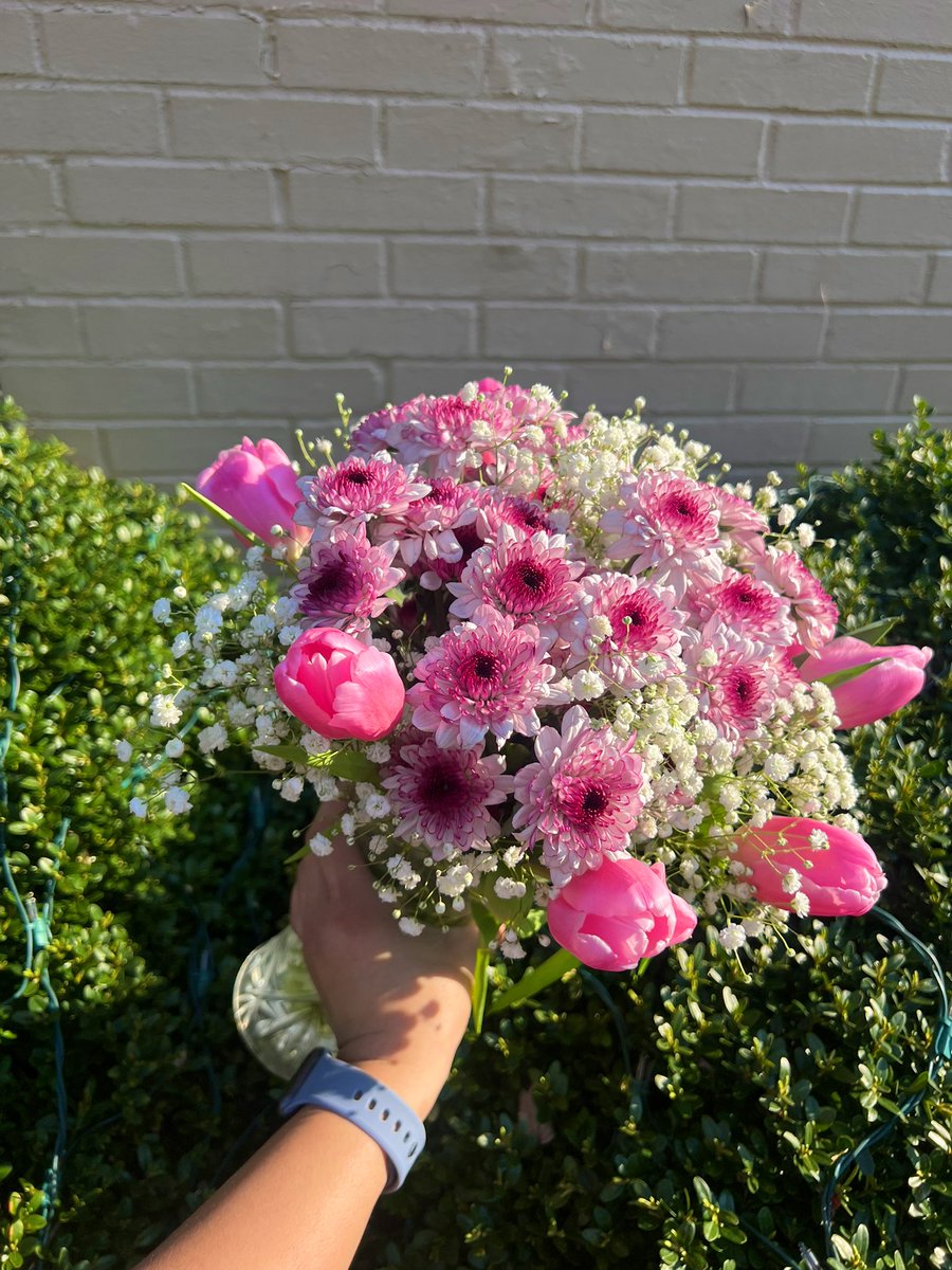 jasmindiaz_'s tweet photo. 🌷🤍 https://t.co/rDEsljXY97
