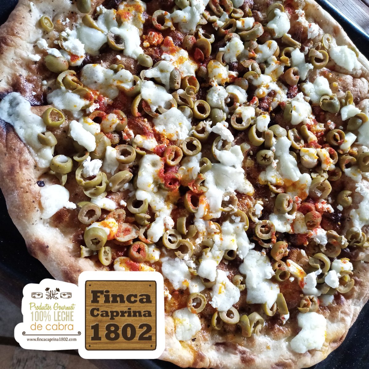 ¡Para antojar a los amantes de la pizza casera! 

#fincacaprina1802 #quesodecabra #hechoencostarica #hechoconamor #quesosartesanales #quesofetadecabra #quesogold #quesomozzarella #pizzalovers #pizza